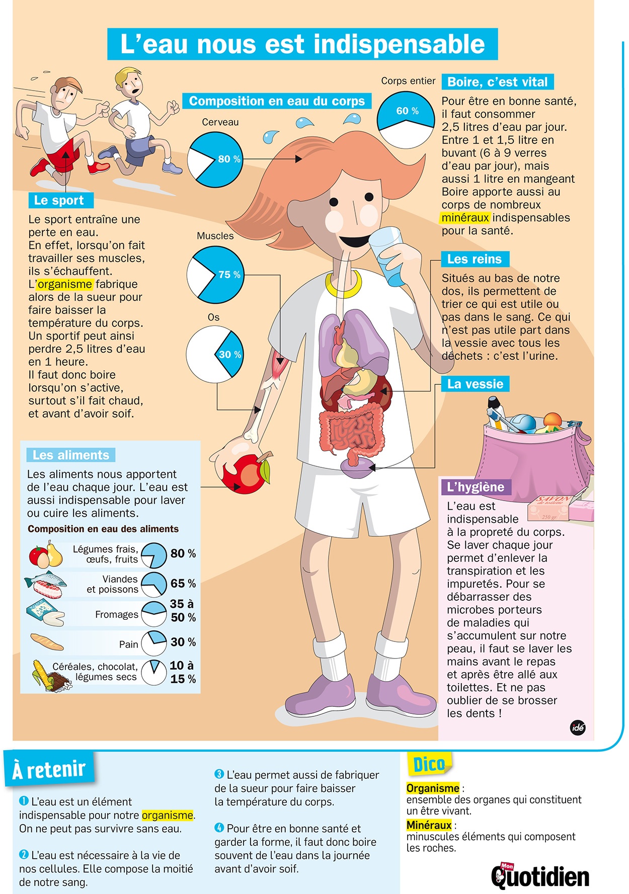 Infographie Mon Quotidien Leau Nous Est Indispensable Ligup Communauté Éducative 