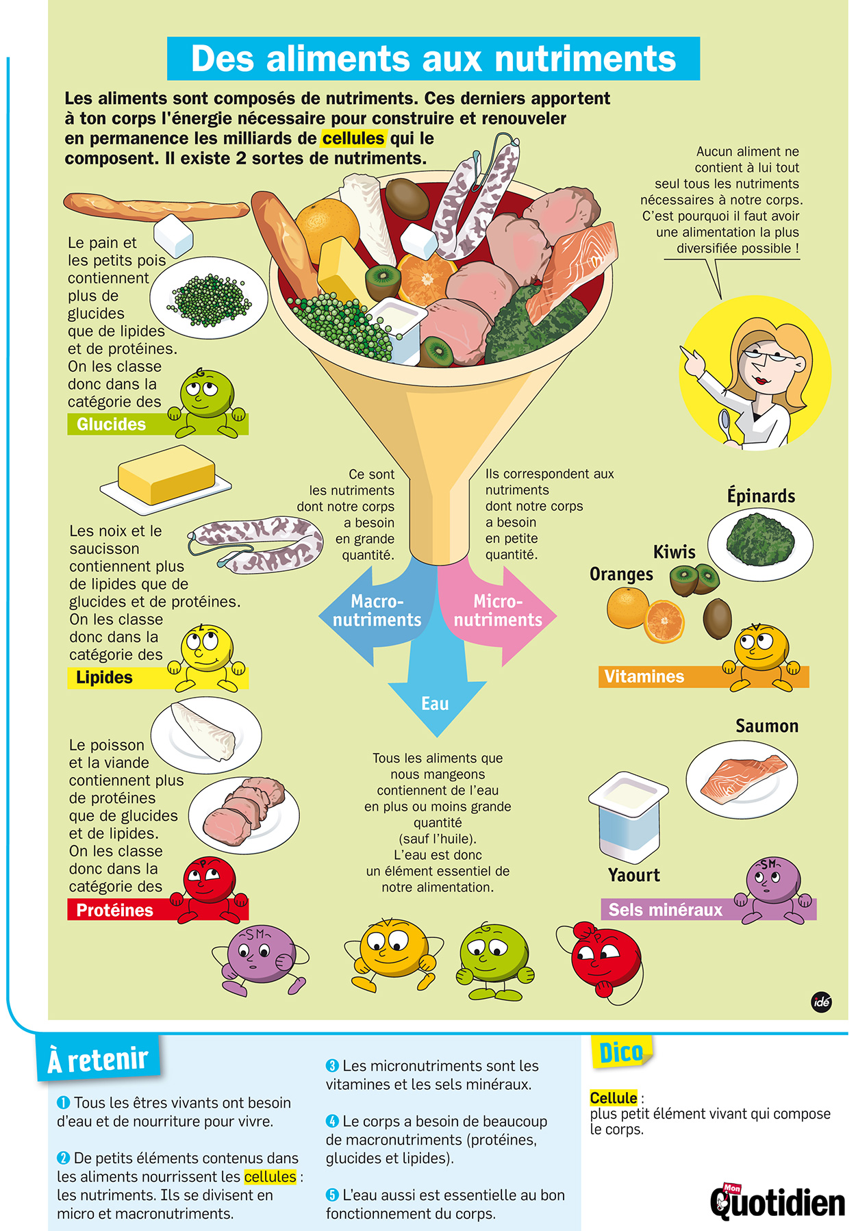 Infographie Mon Quotidien : Des aliments aux nutriments