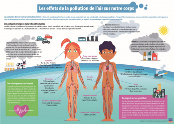 Quels sont les effets de la pollution sur notre corps ? Quels sont les effets de la pollution sur notre corps ?