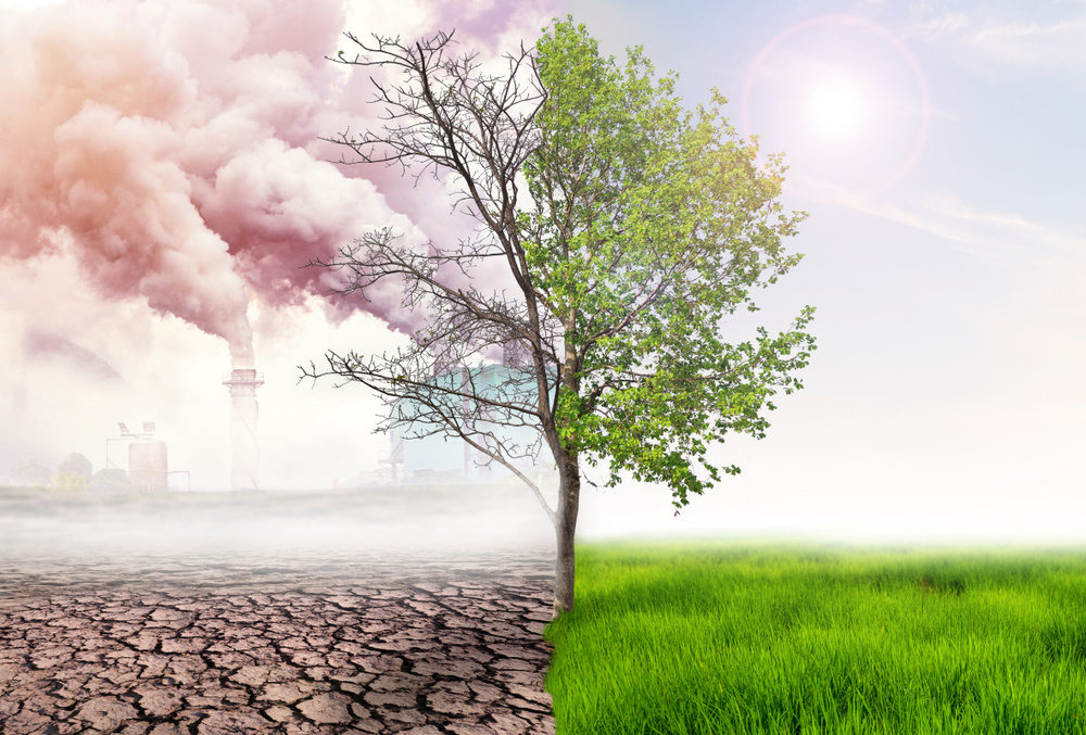 Infographie Mon Quotidien : Quels sont les effets de la pollution sur ...